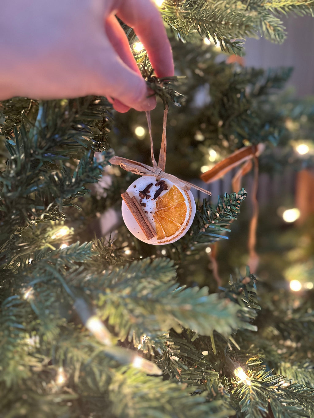 Circle Christmas Tree Decorations/ Wax Melt